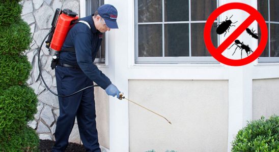 Altındağ Karınca İlaçlama böcek ilaçlama ve haşere kontrolü — ilaclama-tr.com
